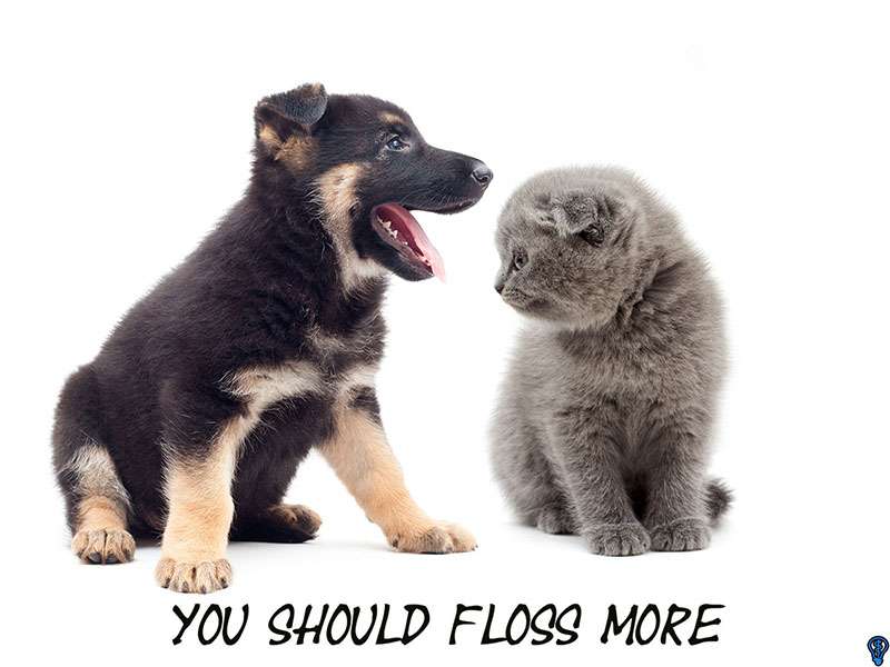 Flossing Reaches All Surfaces Of Teeth